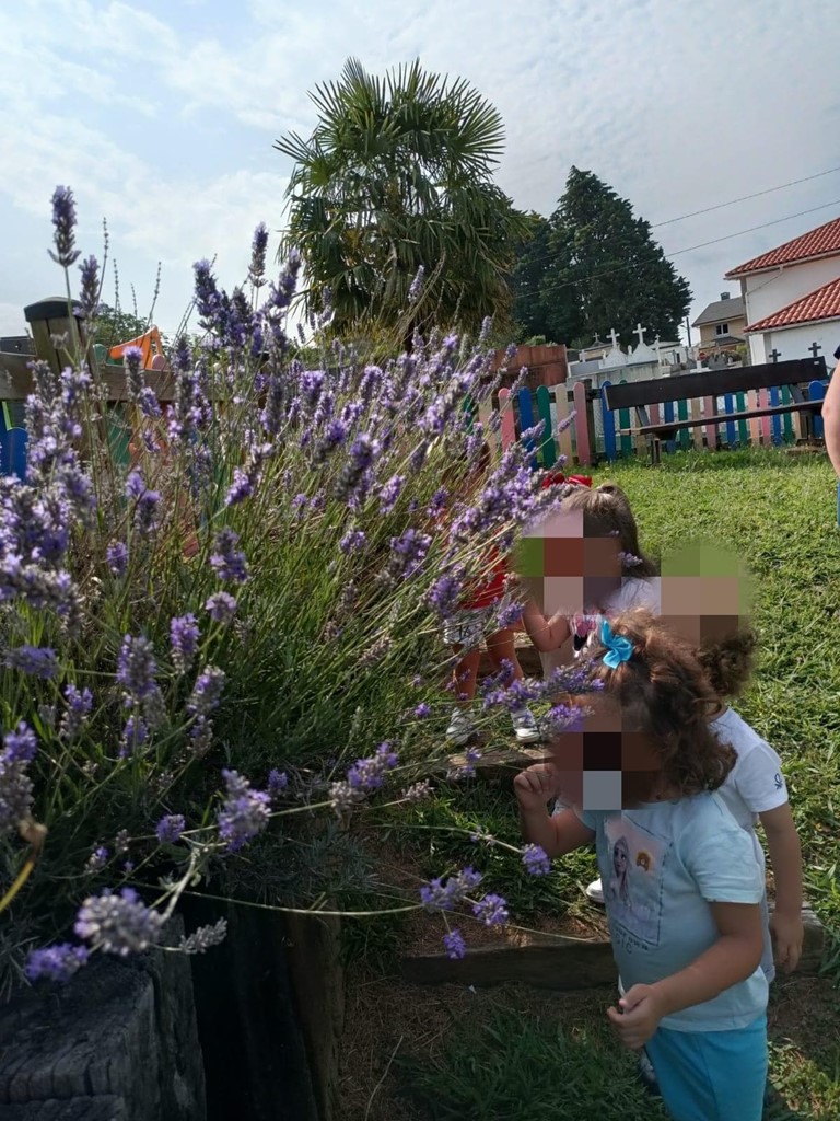 Paseo por el jardín de los olores